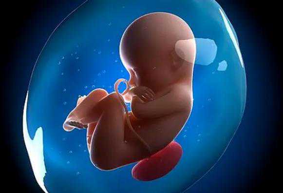 西安代怀孕最靠谱,试管婴儿成功率和什么有关？跟卵泡有关系吗？_西安供卵试